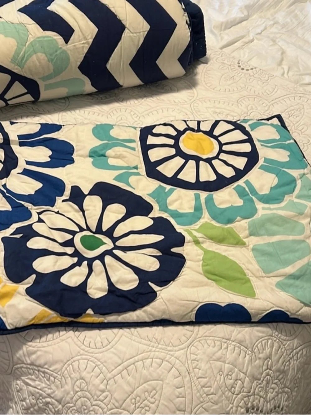 Pottery Barn Teen Daisy Quilt Set